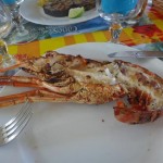 guadeloupe langouste