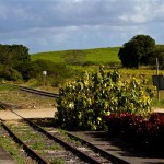 guadeloupe plantation