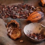 guadeloupe cacao