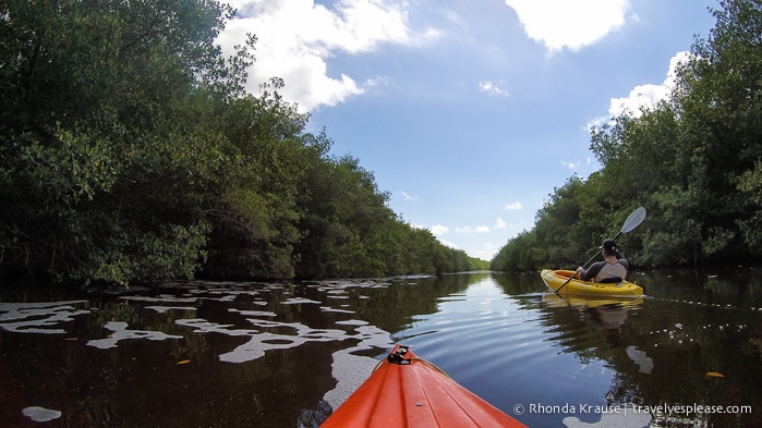 travelyesplease.com | Exploring Everglades National Park
