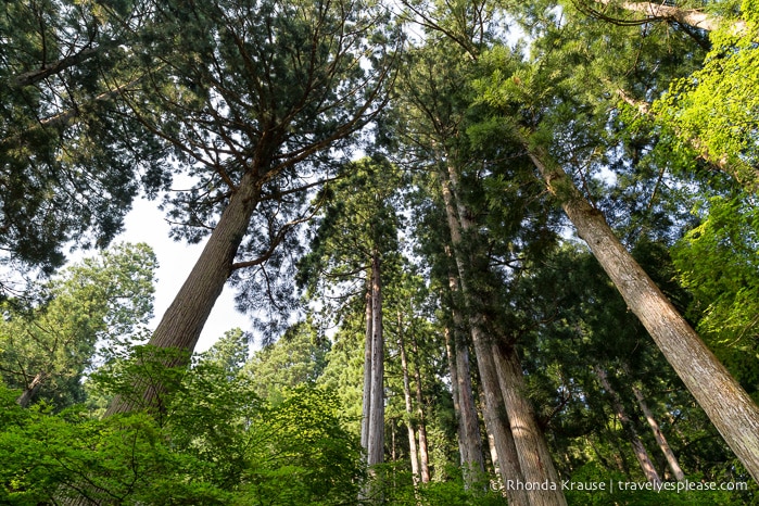 travelyesplease.com | Climbing Mount Mitoku- The Trek to Nageiredo Hall