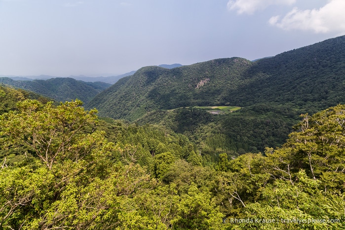 travelyesplease.com | Climbing Mount Mitoku- The Trek to Nageiredo Hall