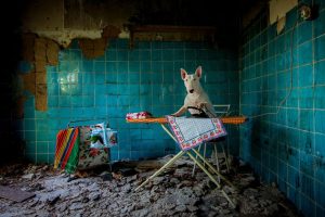 Photographie urbex