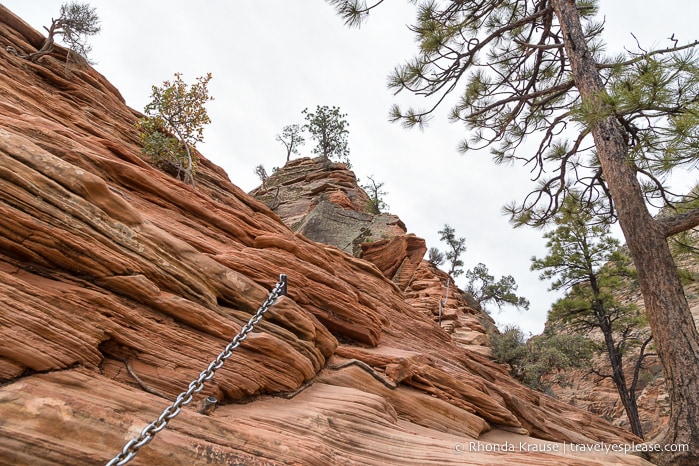travelyesplease.com | Hiking Angels Landing Trail- What to Expect on Zion National Park's Most Iconic Hike
